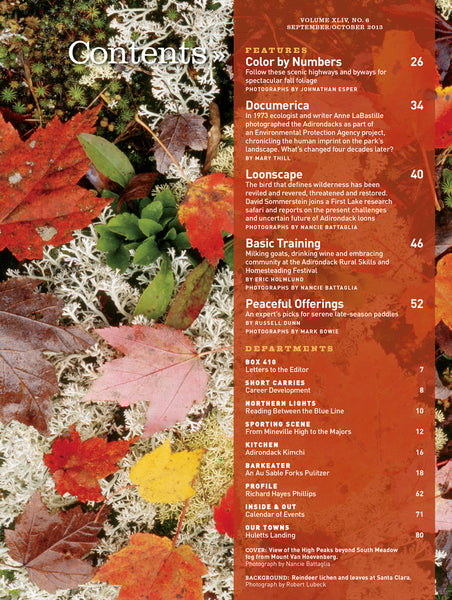 September/October 2013 issue - Loons