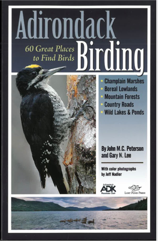 Adirondack Birding: 60 Great Places to Find Birds