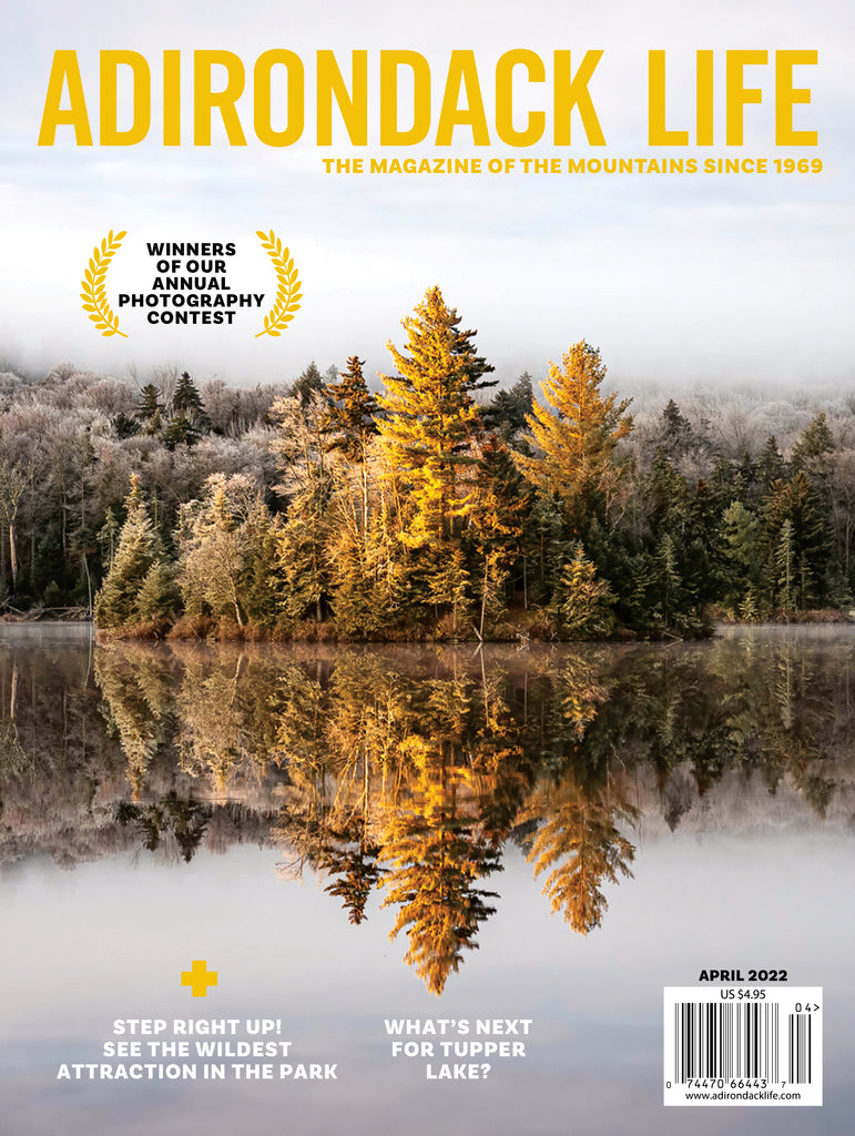 March/April 2022 issue