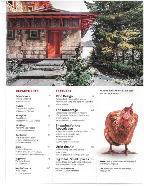 At Home in the Adirondacks 2021 - Green Issue