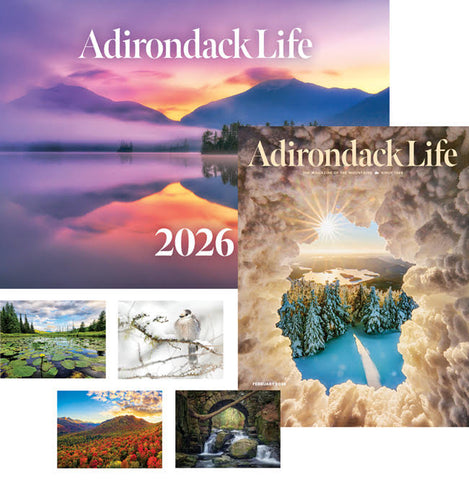 Subscription and Calendar Combo 2026