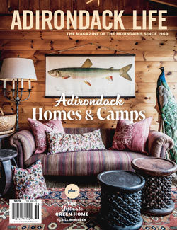 Adirondack Homes and Camps Issue 2023