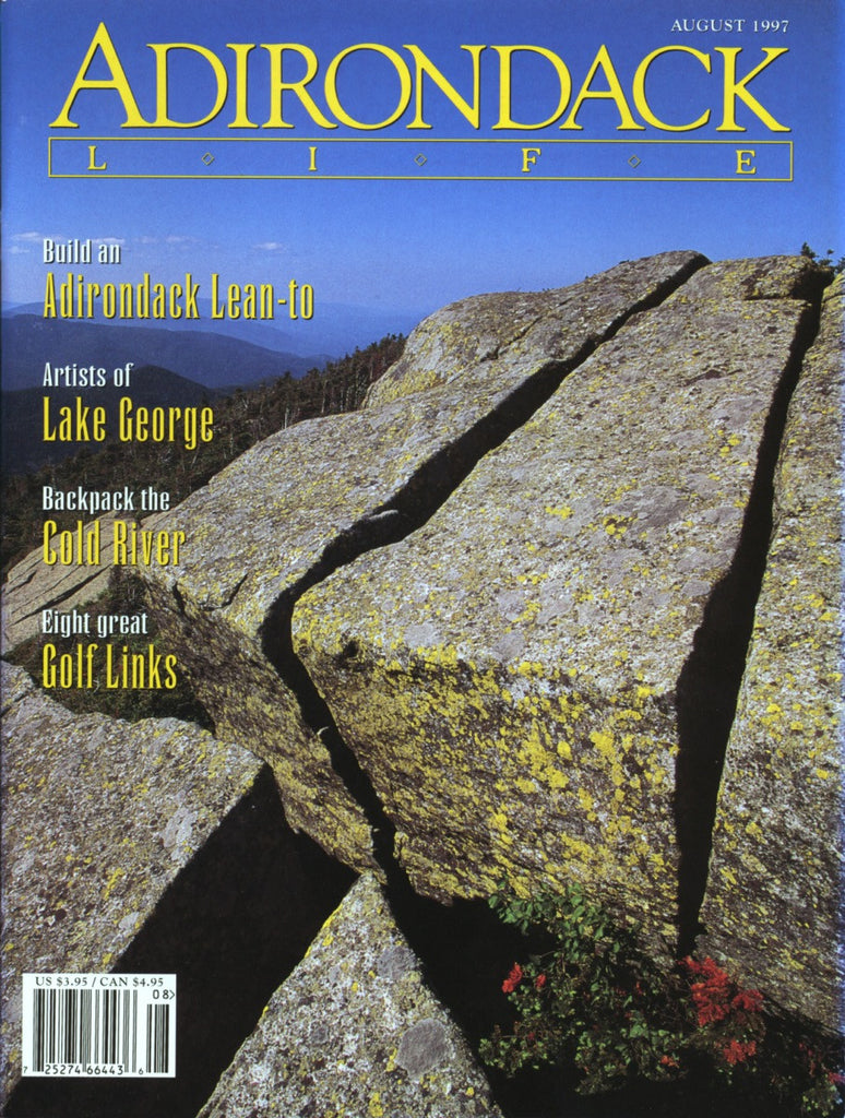 July/August 1997 issue - Lean-To Design