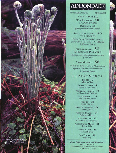 May/June 2001 issue - Arto Monaco