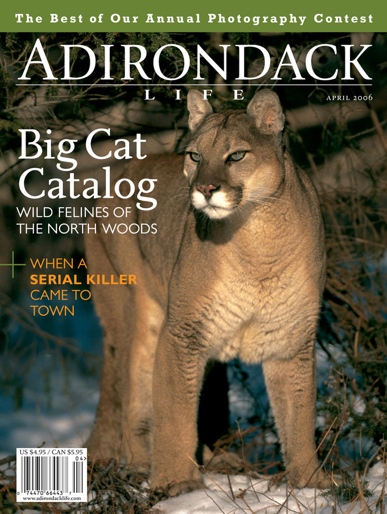 March/April 2006 issue - Big Cat Catalog