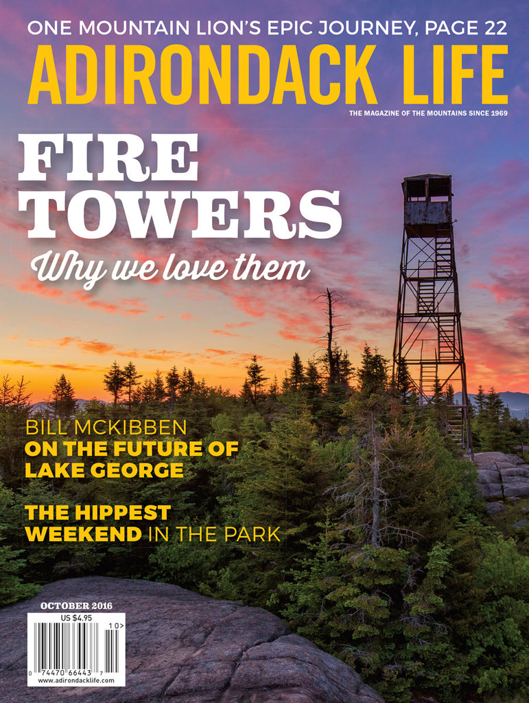 September/October 2016 issue - Fire Towers