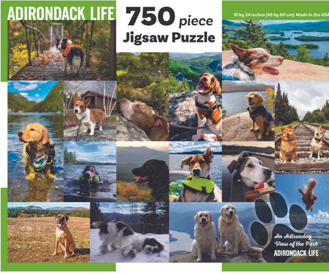 An Adirondog View of the Park Puzzle