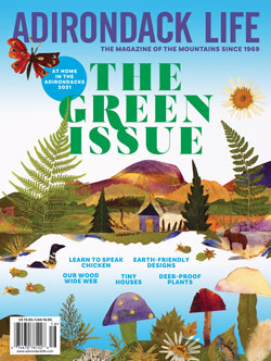 At Home in the Adirondacks 2021 - Green Issue
